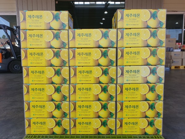 제주 서귀포시 표선면 성읍리 강성화 농가가 재배한 레몬 100㎏을 홍콩으로 수출했다. [제주도 농부농업기술센터 제공]