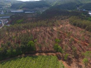 세종시산림조합이 산지 주말농장 형태의 ‘산림 텃밭’을 분양한다. [세종시산림조합 제공]