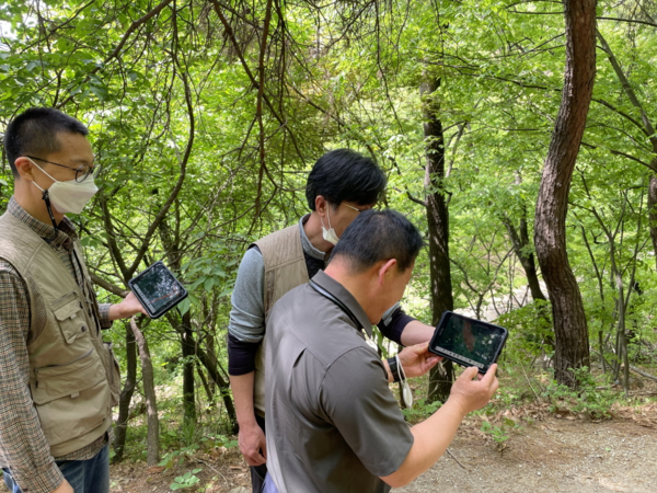 산림특별사법경찰이 인천·경기일원 산림 내 불법행위를 집중 단속한 결과 모두 184건을 적발했다. [산림특별사법경찰 제공]
