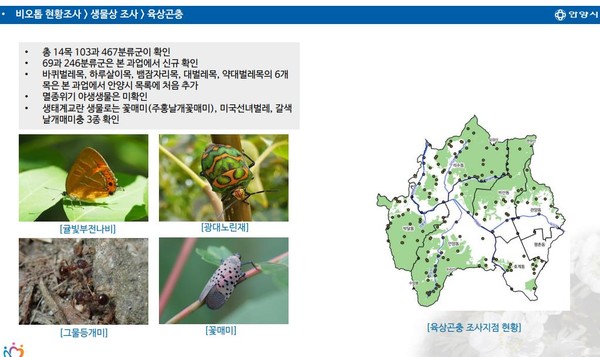 ‘안양시 도시생태현황지도' 육상곤충. [안양시 제공]