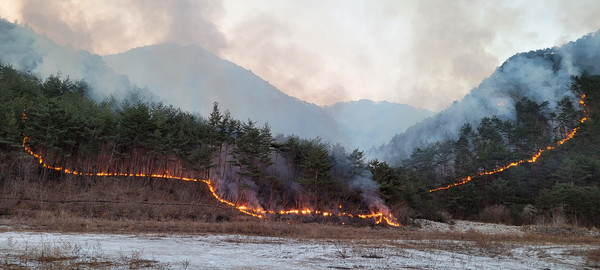강원 곳곳에서 사흘째 산불이 이어지는 6일 오전 삼척시 원덕읍 산림이 연기와 불길에 휩싸여 있다. [강원도소방본부 제공]