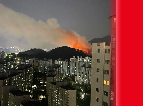 20일 오후 8시 32분께 대구시 달서구 월성동 야산에서 불이 났다. 소방 당국은 펌프 차량 11대 등 진화 전문 차량 22대, 인력 70명 등을 동원해 진화작업에 나섰다. [연합뉴스=독자제공]