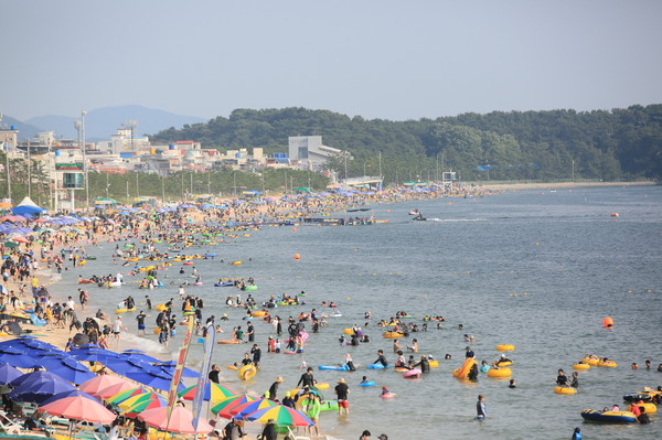 대천해수욕장. [보령시 제공]