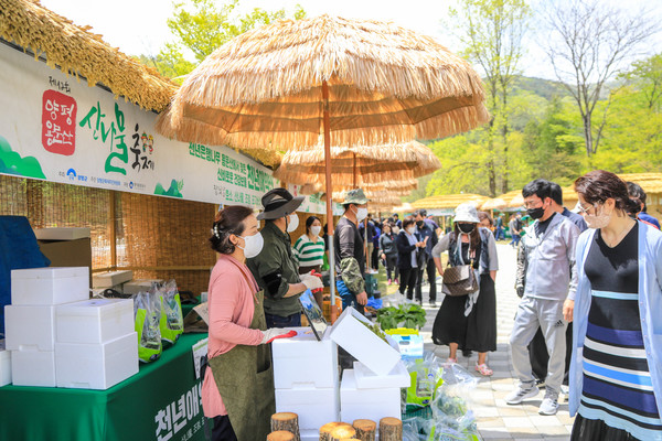 양평군 산나물 축제 개최 [양평군 제공]