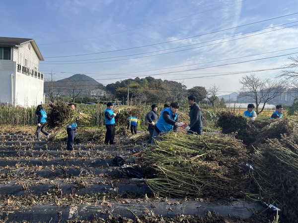 한국농어촌공사 원주지사는 지난 18일 가을 수확기를 맞이해 일손이 부족한 농가를 위해 일손돕기에 나섰다. [원주지사 제공]