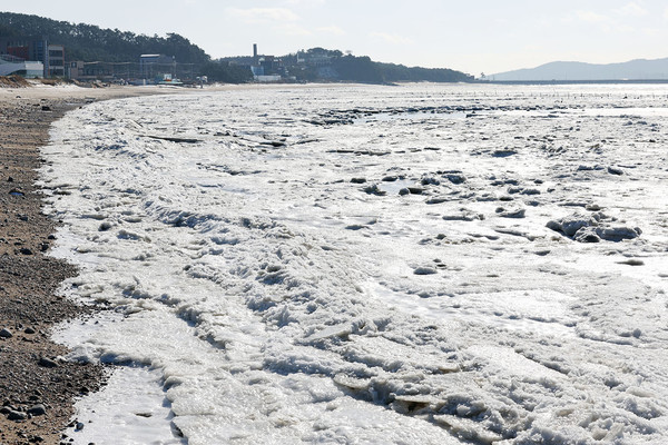올겨울 최강 한파가 절정에 이른 22일 인천 중구 마시안해변 앞바다가 꽁꽁 얼어 붙어있다. [연합뉴스]