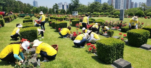 IWPG 글로벌 4국 회원들이 부산 남구 유엔기념공원에서 환경정화 봉사활동을 진행하고 있다. [IWPG 제공]