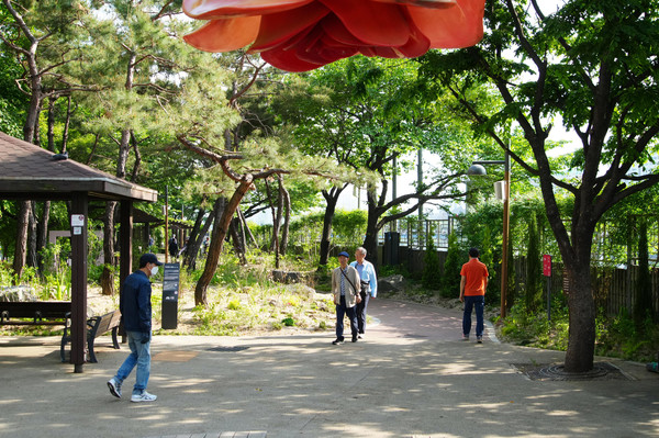 수림대 장미공원 매력정원.[중랑구 제공]