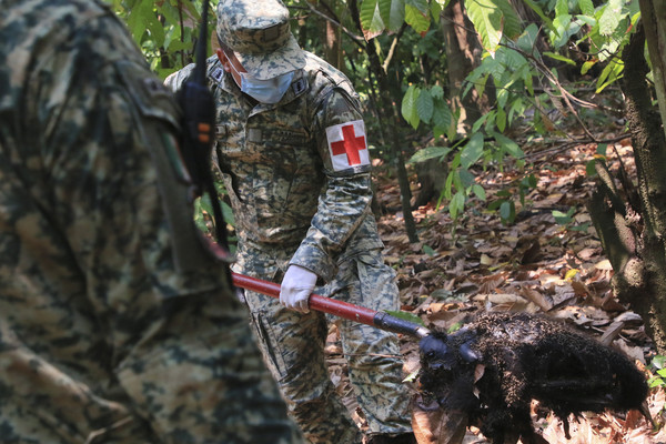 21일(현지시간) 멕시코 타바스코주 테콜루티야에서 군 장병이 폐사한 원숭이 사체를 옮기고 있다. [테콜루티야 AP=연합뉴스]