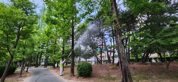 김해시는 도시녹지 병행충 방제로 쾌적하고 푸른 도시환경을 제공키로 했다. [김해시 제공]