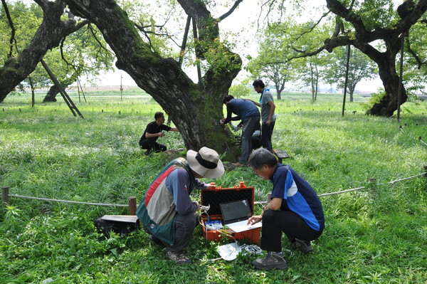 [산림청 제공]