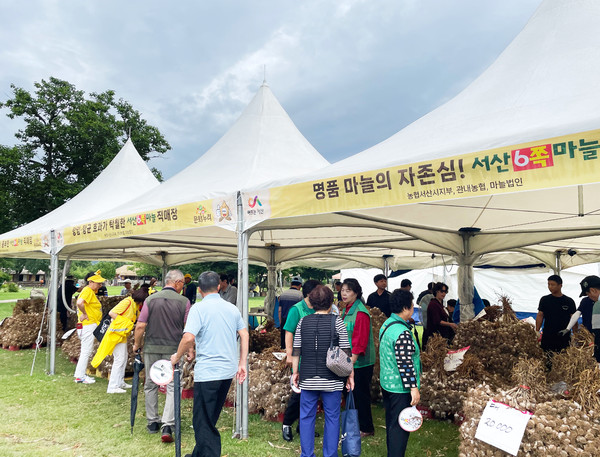 지난해 7월 7일부터 7월 9일까지 해미읍성 일원에서 열린 제14회 서산6쪽마늘 축제. [서산시 제공]