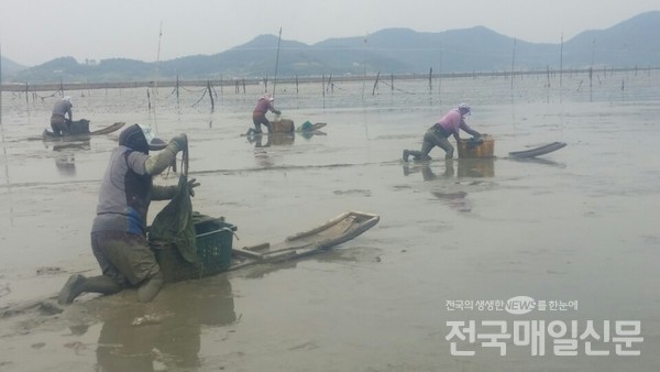 순천만 갯벌.