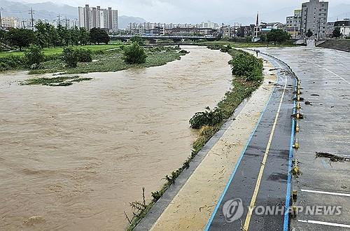 물에 잠긴 원주천 둔치. [연합뉴스]