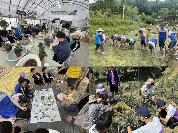 서울 은평구 청소년들이 은평청소년마을학교 도시농업학교에서 체험 활동을 하고 있다.[은평구 제공]