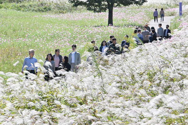 [광주 서구 제공]