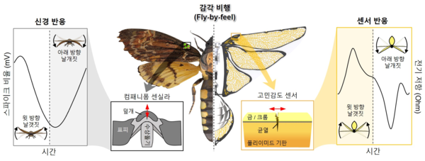 한국연구재단, 날갯짓 드론 독자적 비행 제어기술 개발