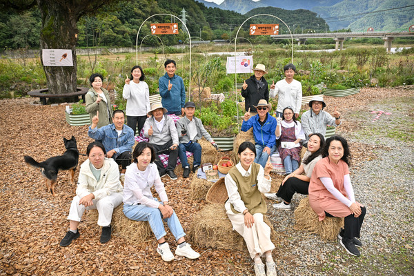 [정선군 제공]