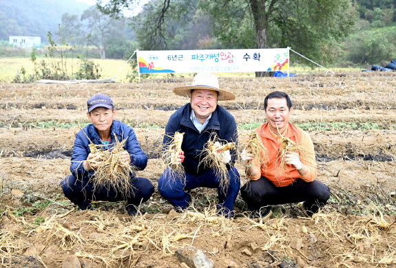 [파주시 제공]