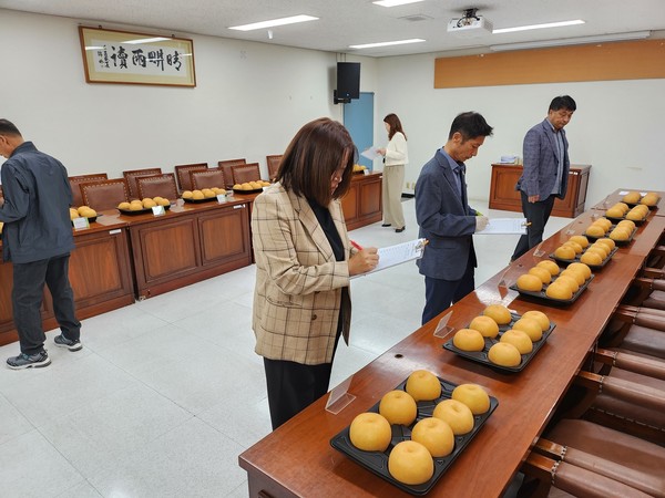 [남양주시 제공]