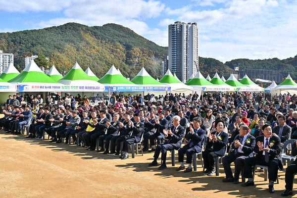 [정선군 제공]