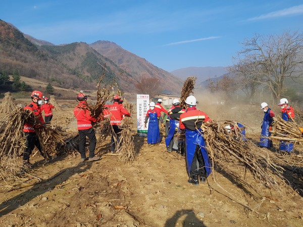 [정선군 제공]