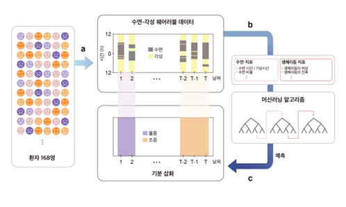 수면-각성 데이터만을 이용한 기분 삽화 예측 모델 개발. [IBS 제공]