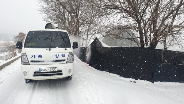 경기도가 최근 양주 양돈농장에서 발생한 아프리카돼지열병(ASF)의 확산을 막기 위해 총력 대응에 나서고 있다.